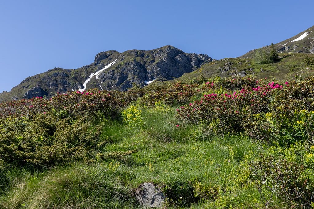 Uitzicht langs wandelroute naar Étang d'Appy