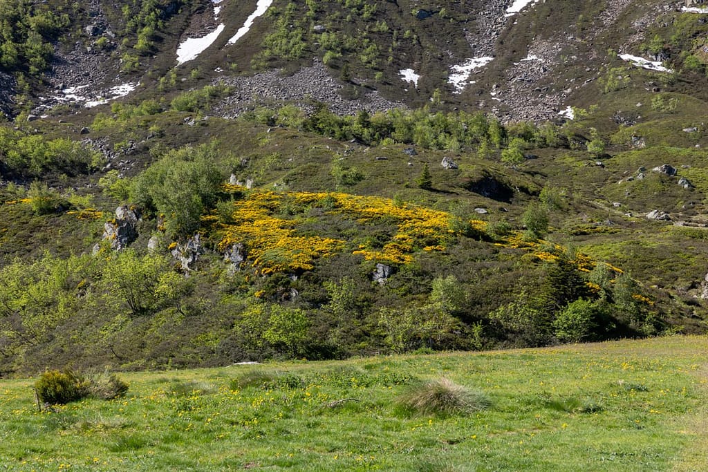 Uitzicht langs wandelroute naar Étang d'Appy