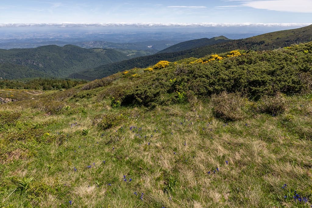 Uitzicht langs wandelroute naar Étang d'Appy