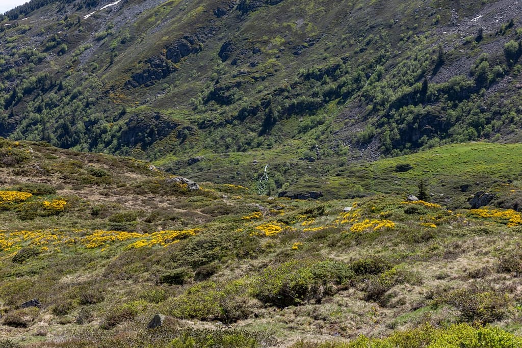 Uitzicht langs wandelroute naar Étang d'Appy