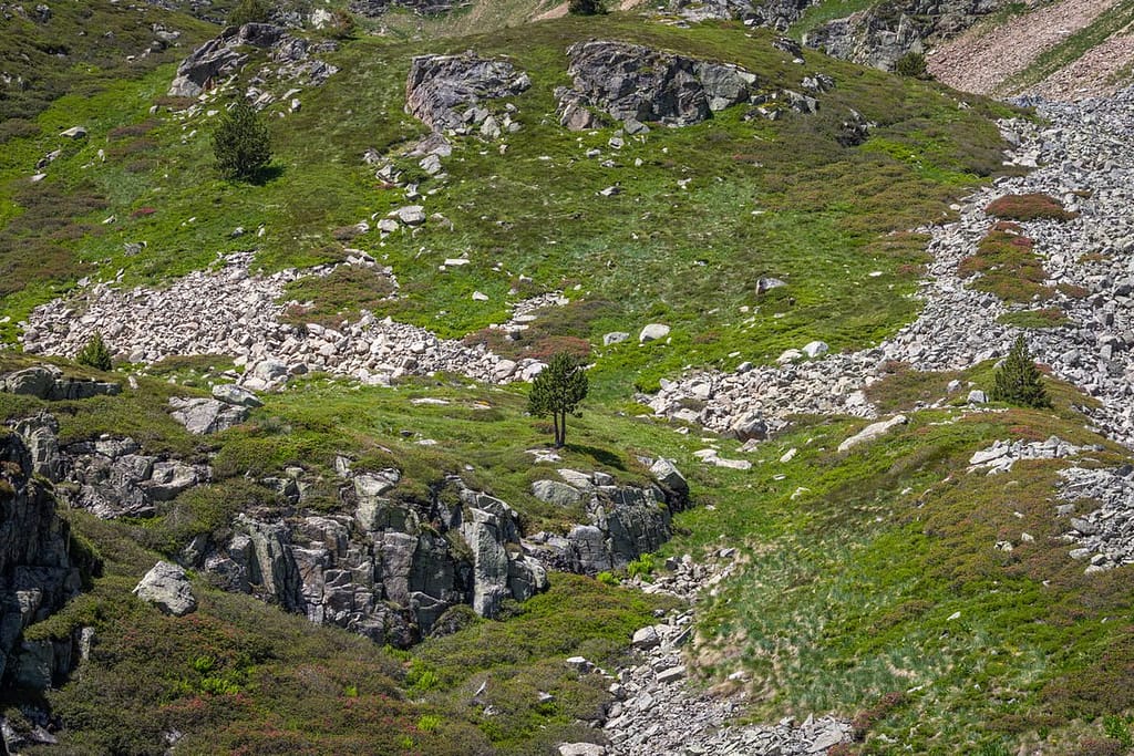 Uitzicht langs wandeling naar Étangs de Fontargente
