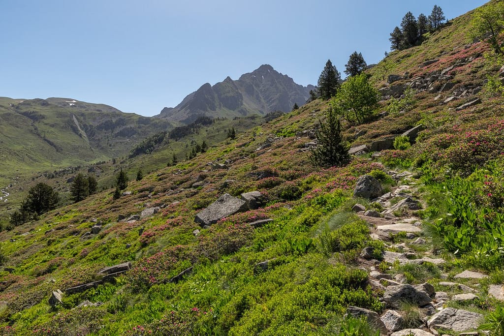 Uitzicht langs wandeling naar Étangs de Fontargente