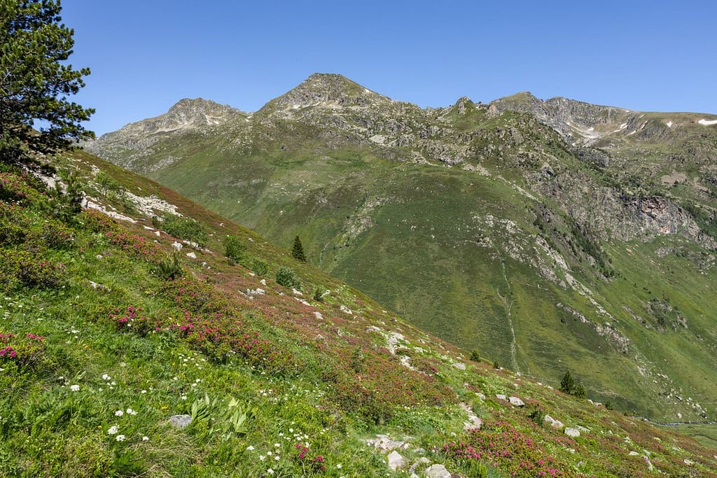Uitzicht langs wandeling naar Étangs de Fontargente
