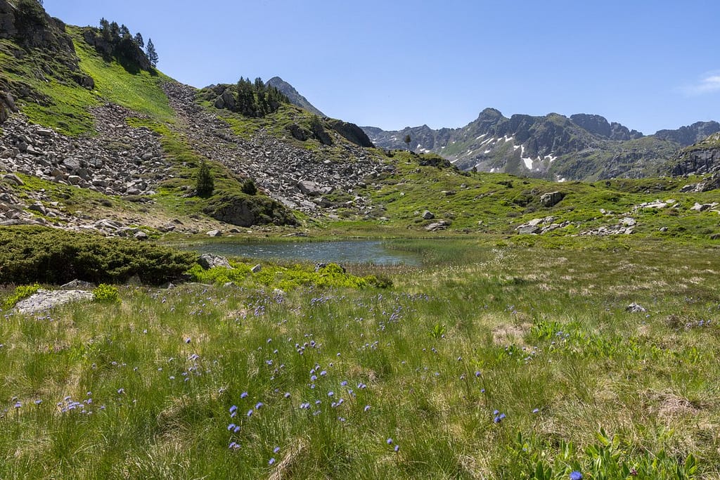 Uitzicht langs wandeling naar Étangs de Fontargente