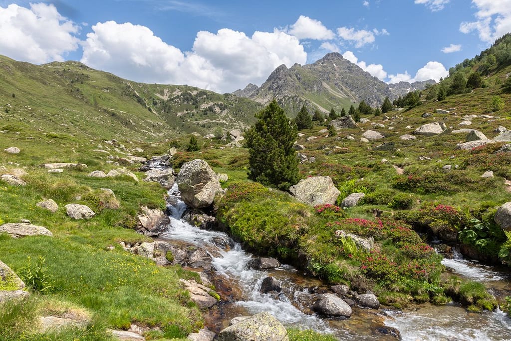 Uitzicht langs wandeling naar Étangs de Fontargente