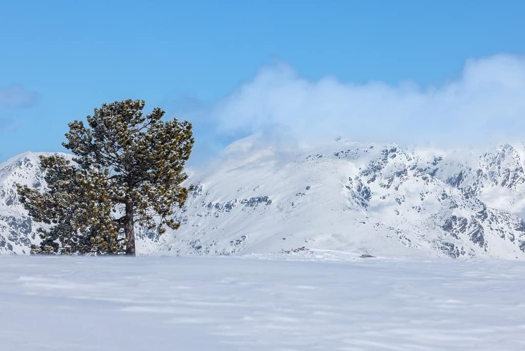 Uitzicht wandeling op Plateau de Beille in de Pyreneeën