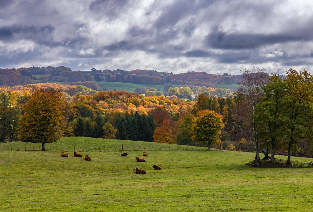 Herfstkleuren departement de Lot