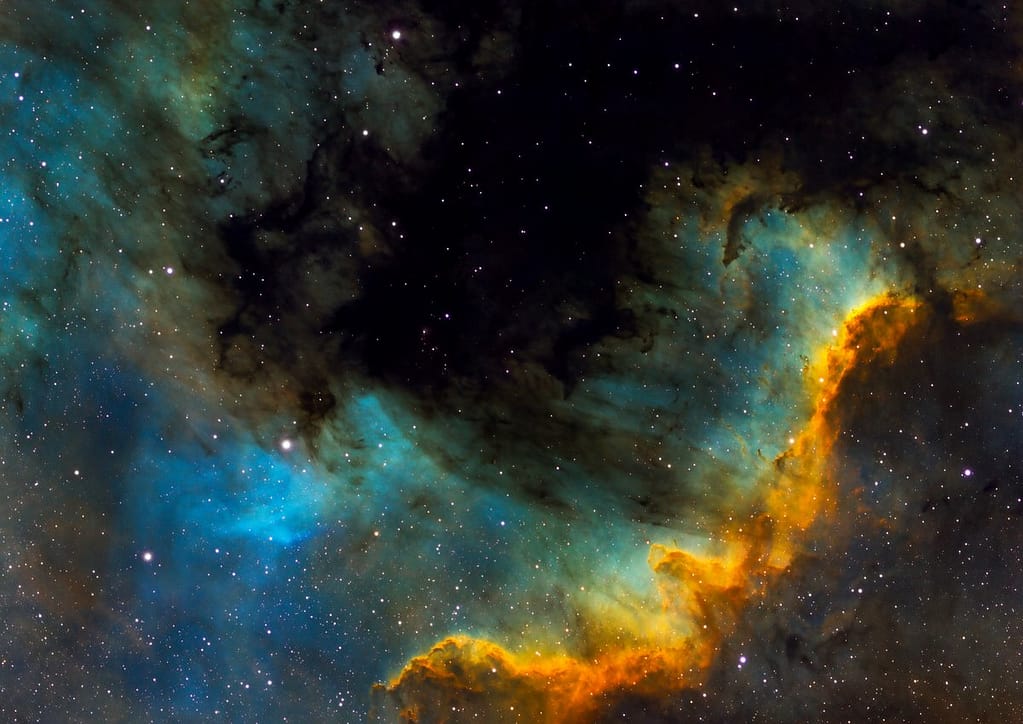 Cygnus wall
