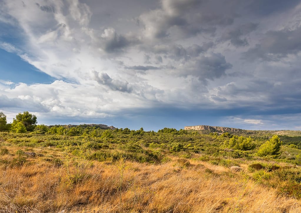Langs de D168 van Narbonne naar Armissan
