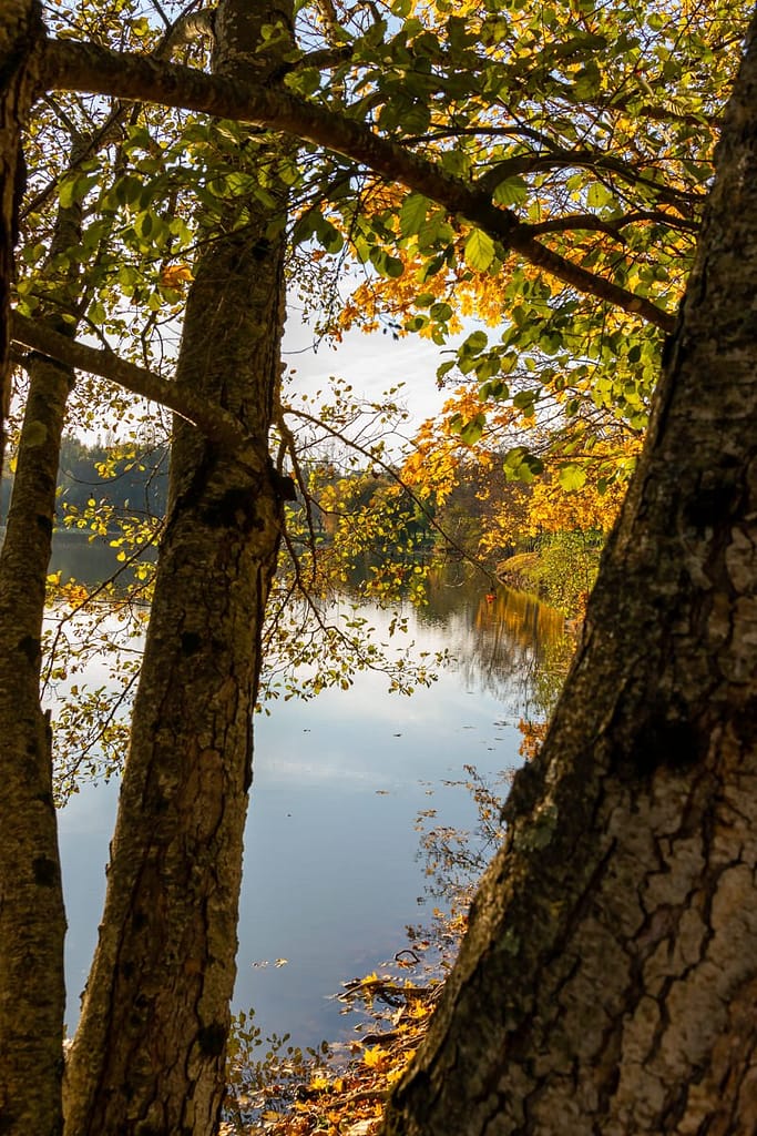 Lac de Requetch bij Mirabel