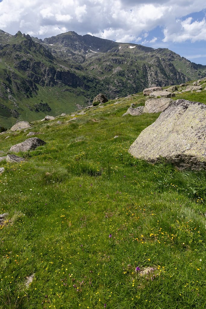 Uitzicht langs wandeling naar Étangs de Fontargente