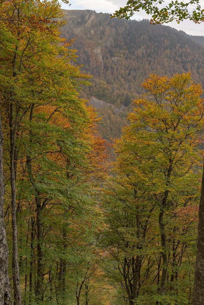 Wandeling naar Etang de Eychelle vanag Col de la Core