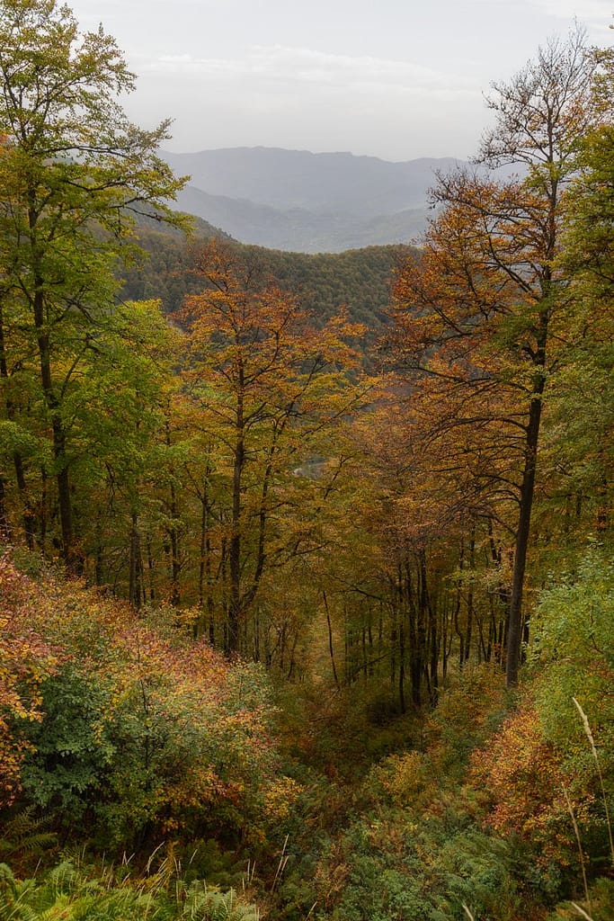 Wandeling naar Etang de Eychelle vanag Col de la Core