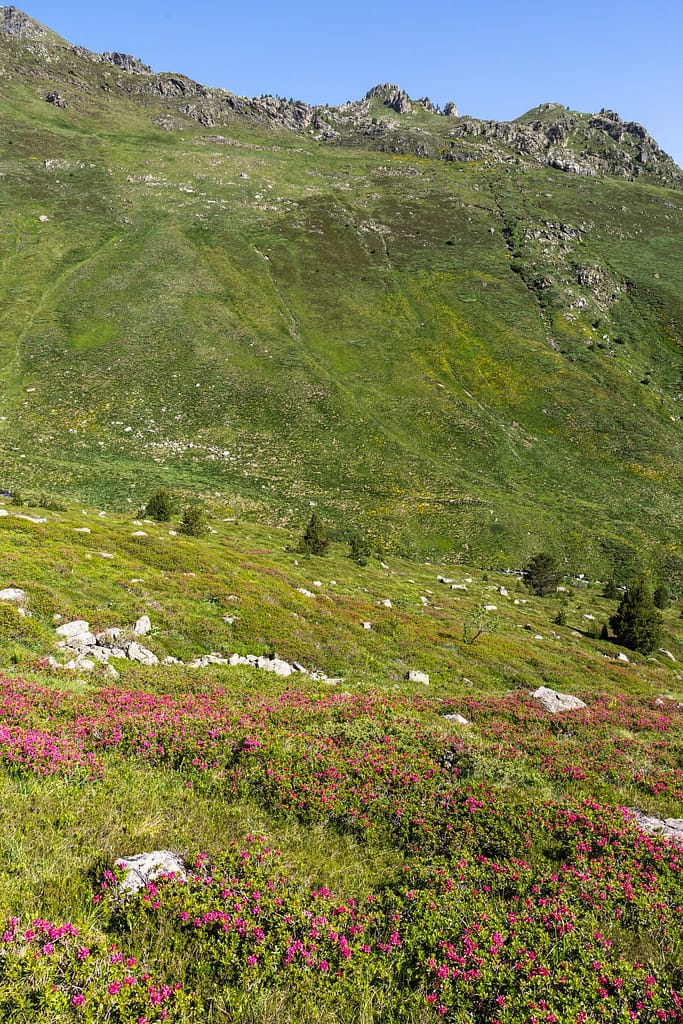 Uitzicht langs wandeling naar Étangs de Fontargente