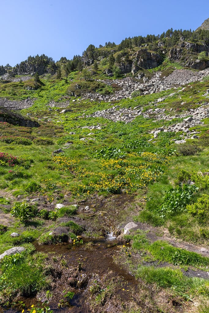 Uitzicht langs wandeling naar Étangs de Fontargente