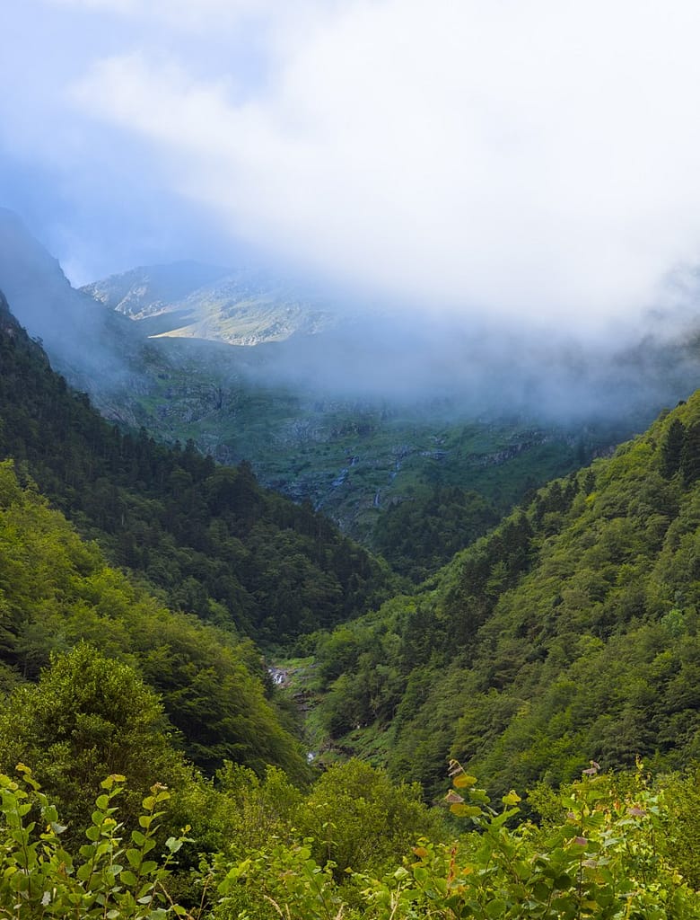 Pyreneeën in de Ariège